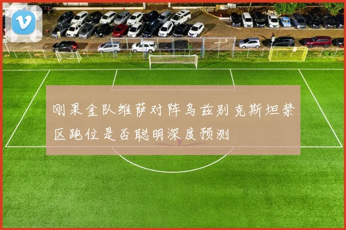 刚果金队维萨对阵乌兹别克斯坦禁区跑位是否聪明深度预测